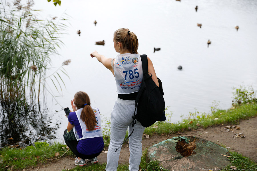 Все бежали, и я побежал: как прошел «Кросс наций» в Калининграде (фото)