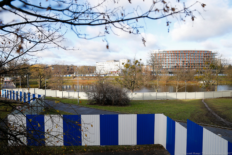 Фото — Виталий Невар, «Новый Калининград.Ru»