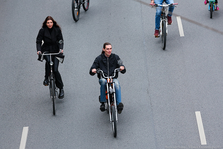 Лыжи, велики, унициклы: как прошёл велопарад в Калининграде (фото)