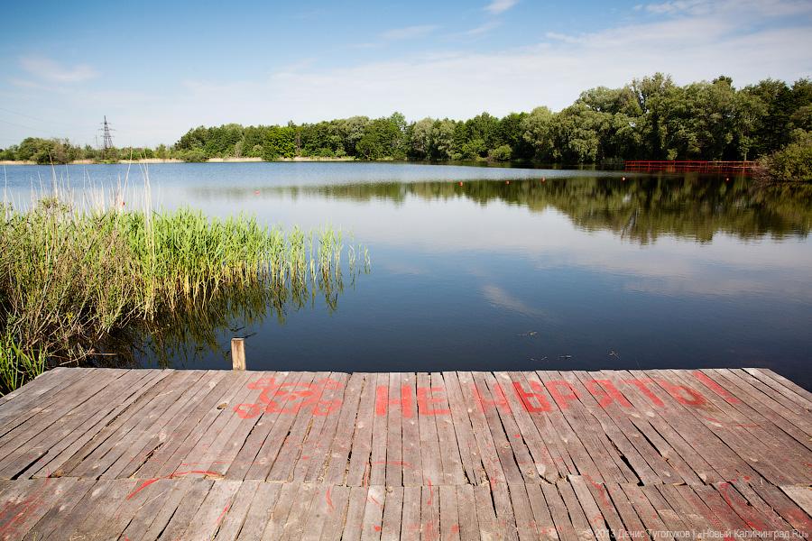 Фото — Денис Туголуков, «Новый Калининград.Ru»