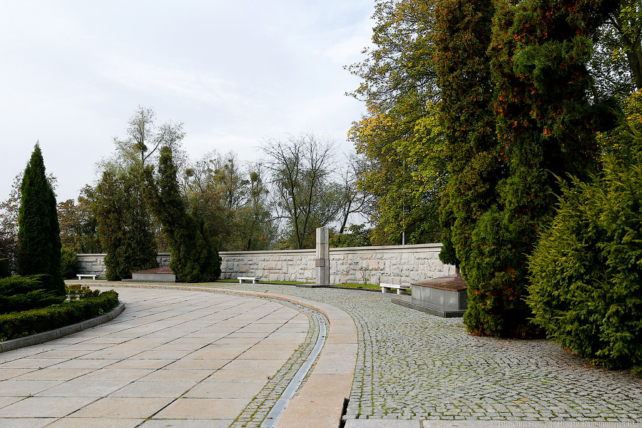 Дошли до Путина: что известно о вандализме на мемориалах в Калининграде