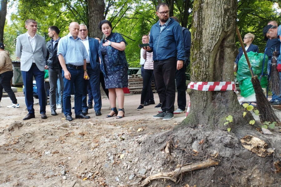 Подрядчика оштрафовали за повреждённые  на улице Красной деревья