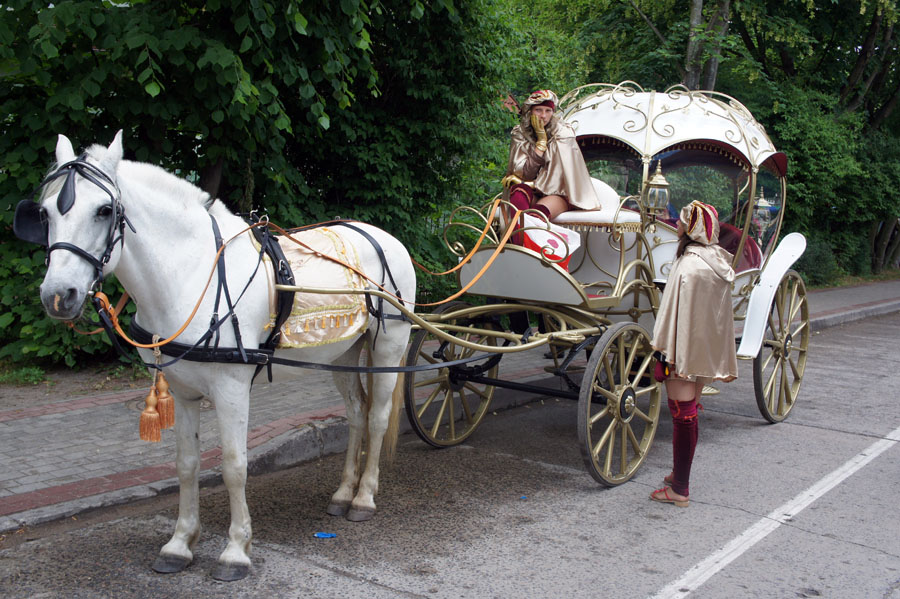 «Дождливое курортное начало»: фоторепортаж «Нового Калининграда.Ru»