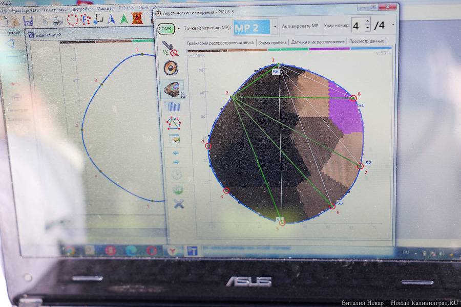 Правило «небуравчика»: власти Калининграда презентовали томограф для деревьев (фото)