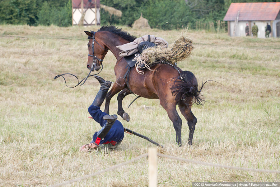 Казаки и броневики: реконструкция сражения Первой мировой войны под Гусевом