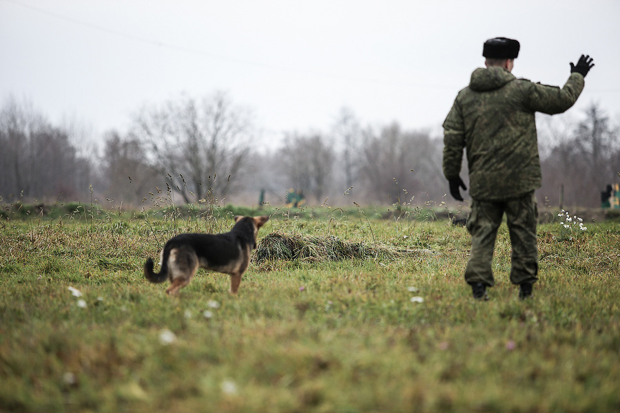 «Огонь!»: боевая подготовка морпехов в Хмелёвке (фото)