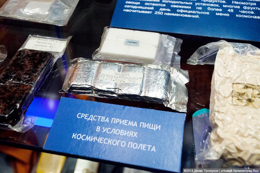 Фото — Денис Туголуков, «Новый Калининград.Ru»