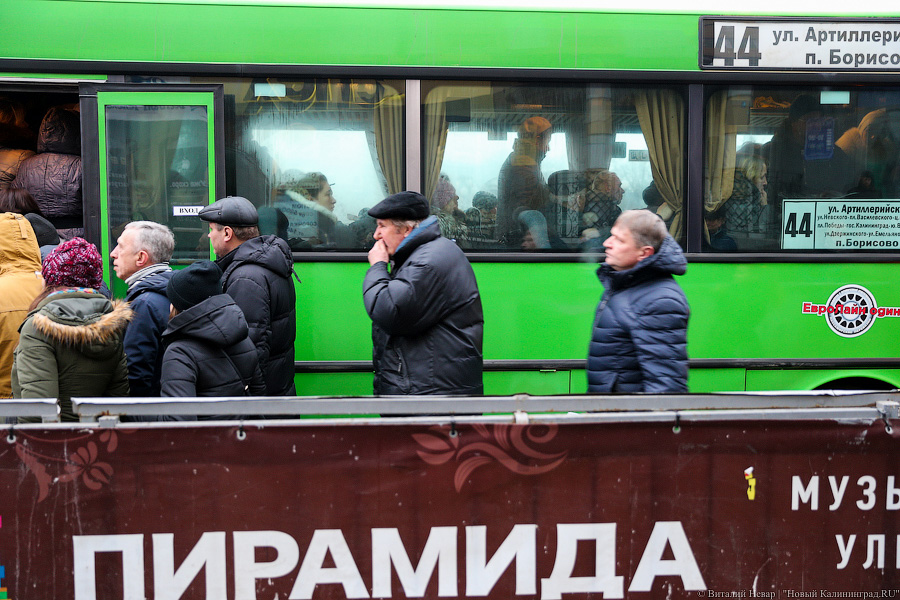 Жертвы транспортной войны: как калининградцы на работу добирались (фото)