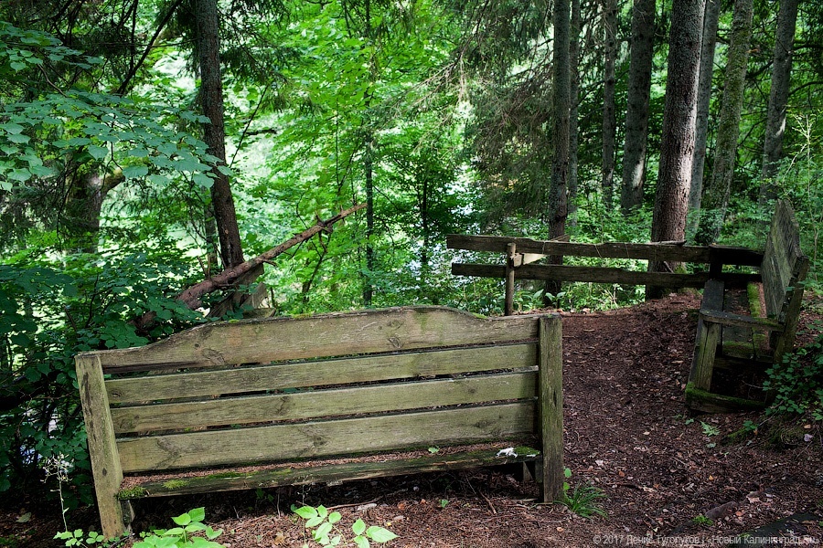 В парке «Виштынецкий» начали создавать семикилометровый туристический маршрут
