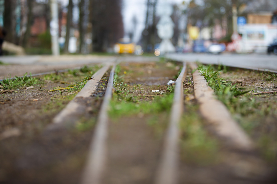 «Малой кровью»: что означают дорожные работы на Тельмана