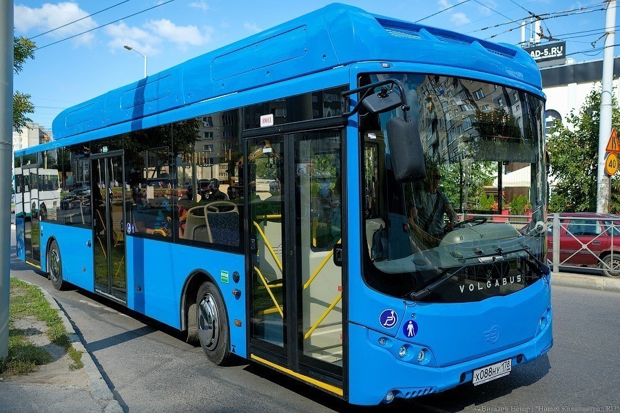 Ярошук: электробус — вещь экологически интересная, но недоделанная