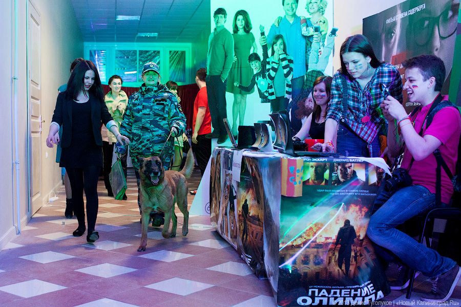 «Европа. Университет. Искусство»: в БФУ им. И. Канта прошла «StART Night»