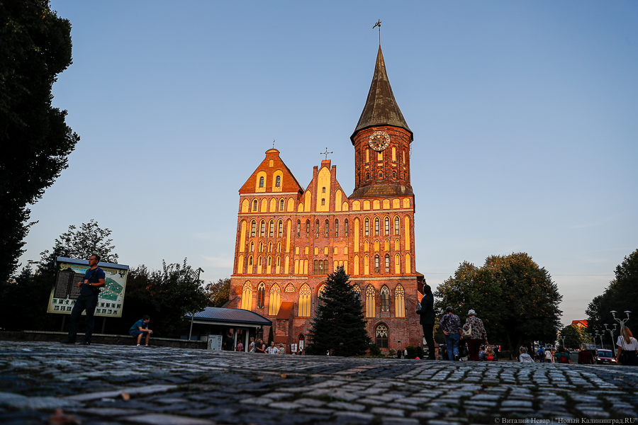 Фото: Виталий Невар / Новый Калининград