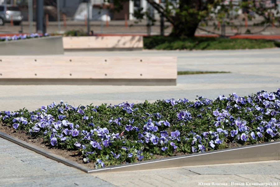На площади у Дома искусств завершается благоустройство. Вот как она выглядит (фото)