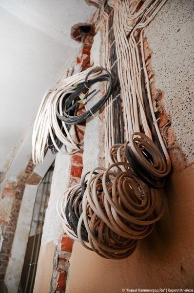 "Инфекционные горизонты": репортаж "Нового Калининграда.Ru"