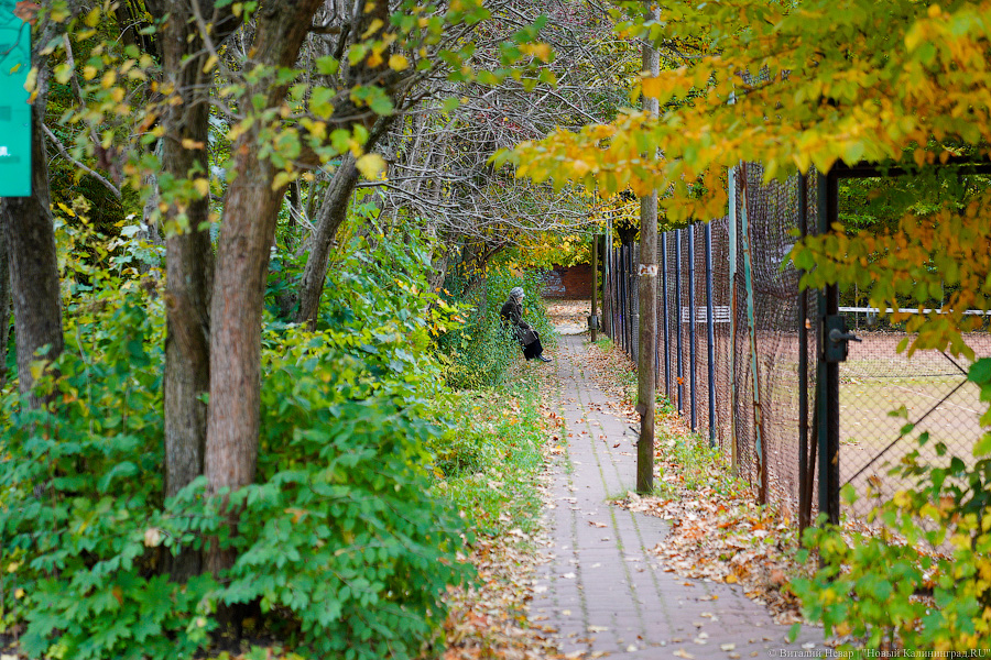 Увидеть в последний раз: осень на стадионе «Спартак», который хотят застроить (фото)