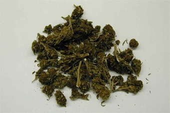 В Озерском районе наркополицейские обнаружили тайник с 9 кг марихуаны