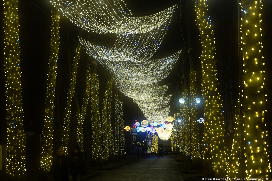 30 километров гирлянд: как украсили к Новому году Светлогорск (фото)