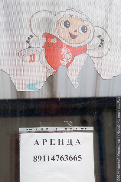 Зона отчуждения: во что превратилась «Старая башня» (фото)