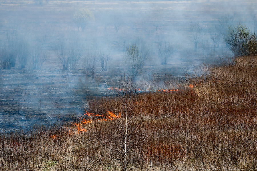 За минувшие сутки пожарные пять раз выезжали на тушение палов травы в регионе