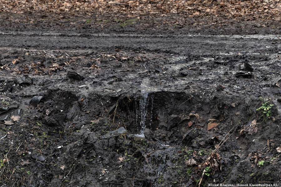 Непролазная грязь: как выглядит берег Литовского ручья в ожидании реновации (фото)