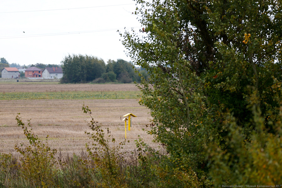 «Мы теперь бомжи»: почему жители Малого Лугового готовы на крайние меры