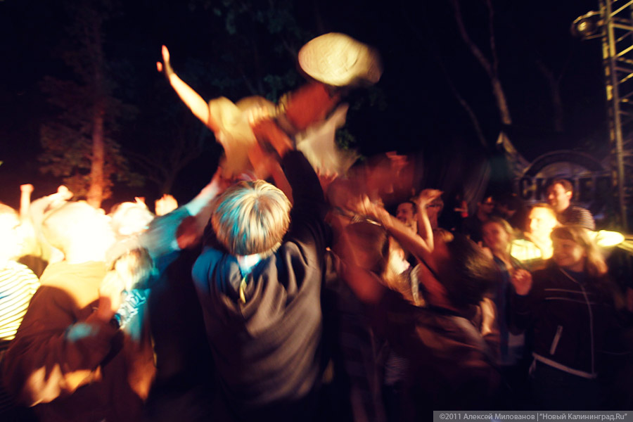 "Насекомая страна": фоторепортаж "Афиши Нового Калининграда.Ru"