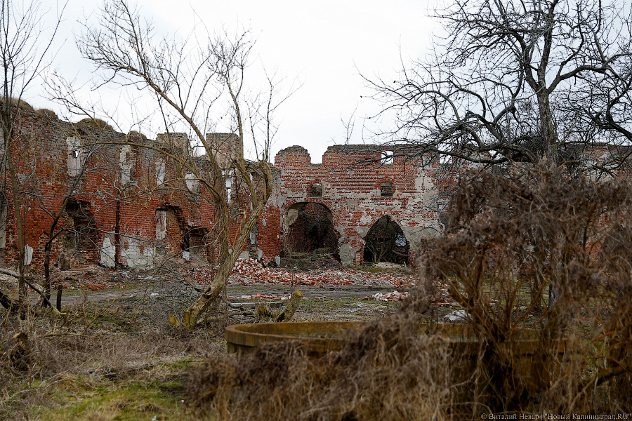 «Судьба замка под вопросом»: из-за кризиса могут рухнуть остатки Бранденбурга