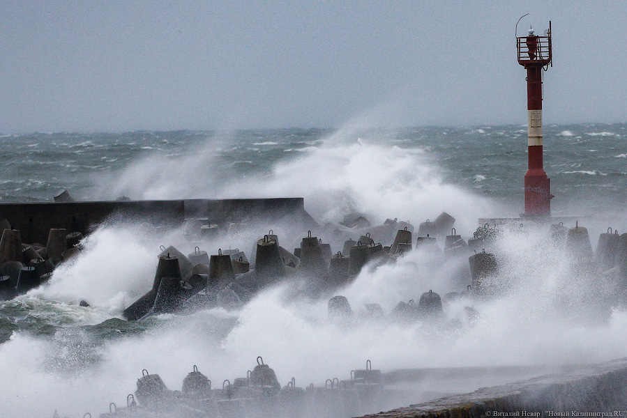 Что нам ветер: фоторепортаж из штормового Балтийска (фото)