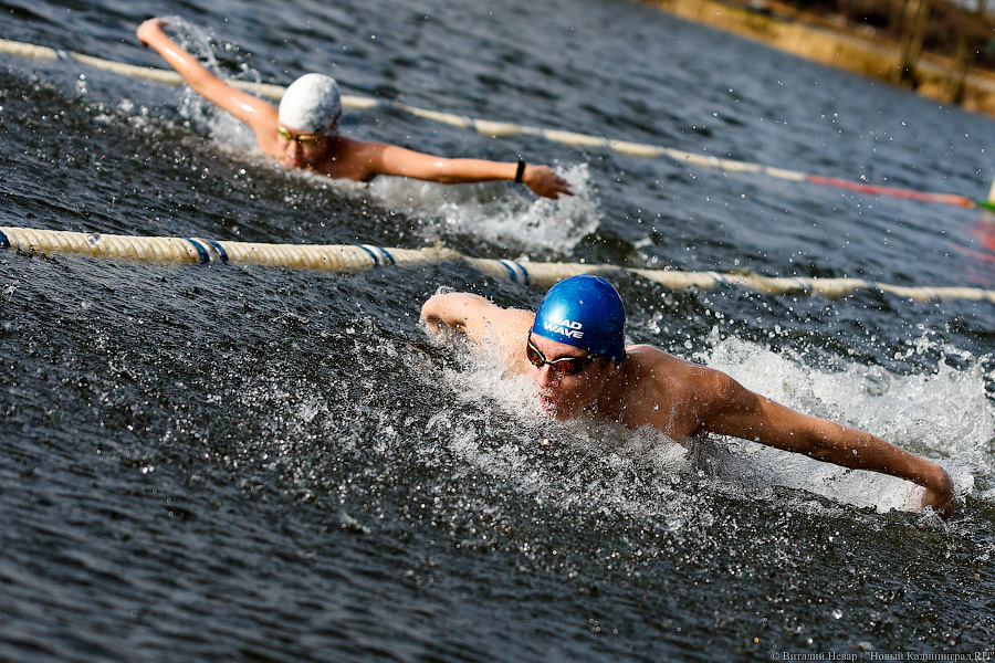 Время моржей: в  Калининграде прошли соревнования по зимнему плаванию (фото)