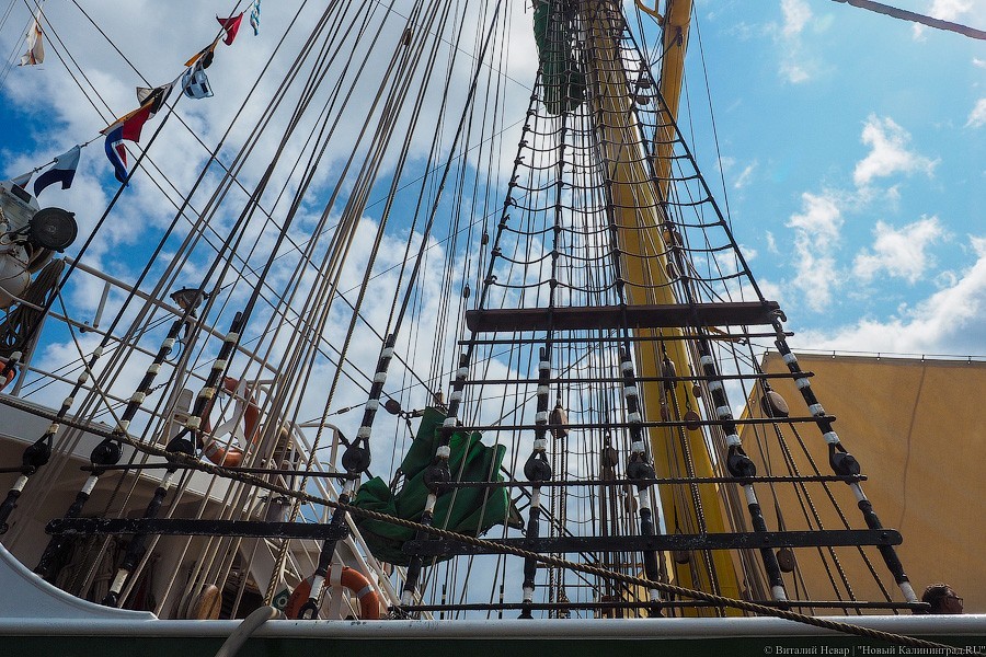 «Александр фон Гумбольдт II»: в Калининграде ошвартовался немецкий барк (фото)