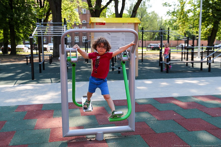 Все мы разные, все мы равные: в Калининграде открыли инклюзивный парк (фото)