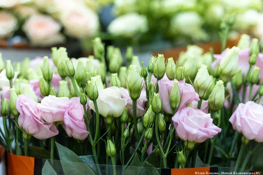 Заксобрание планирует потратить на цветы 800 тыс. рублей