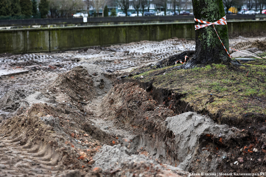 Руины Кнайпхофа: как проходит подготовка к благоустройству острова Канта (фото)