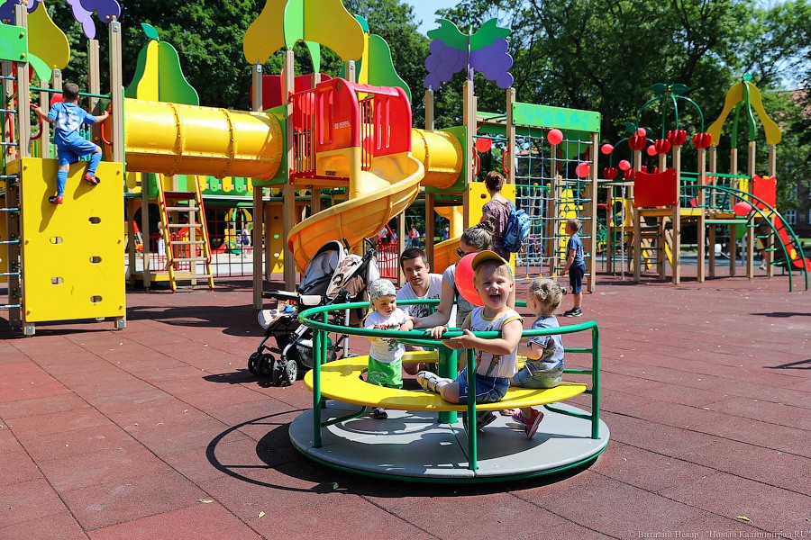 Все мы разные, все мы равные: в Калининграде открыли инклюзивный парк (фото)