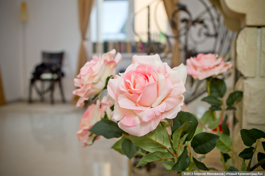 Олег Скворцов о новой площадке «Контакт»: «Я не люблю быть в тренде»