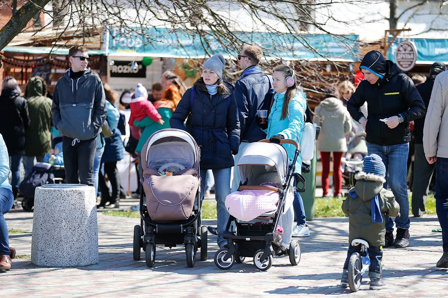Рыбий жир: как проходит Fish Food Festival в Зеленоградске