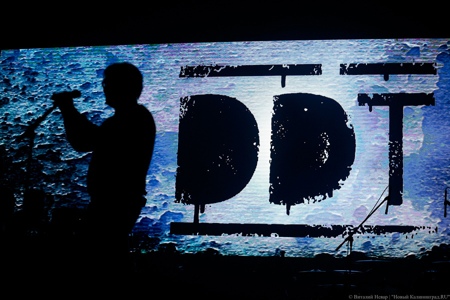 Историческая рок-вечеринка: как группа ДДТ вспоминала о былом в Светлогорске