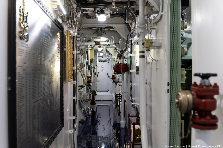 «Меч» для Индии: в Калининграде передали индийским ВМС фрегат с завода «Янтарь» (фото)