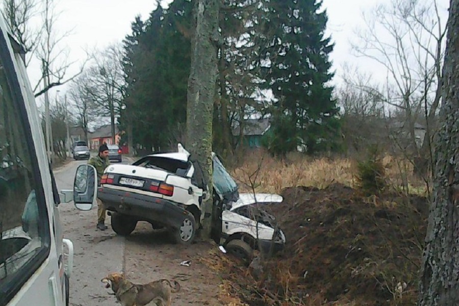 В Багратионовском районе машина врезалась в дерево, водитель погибла (фото)
