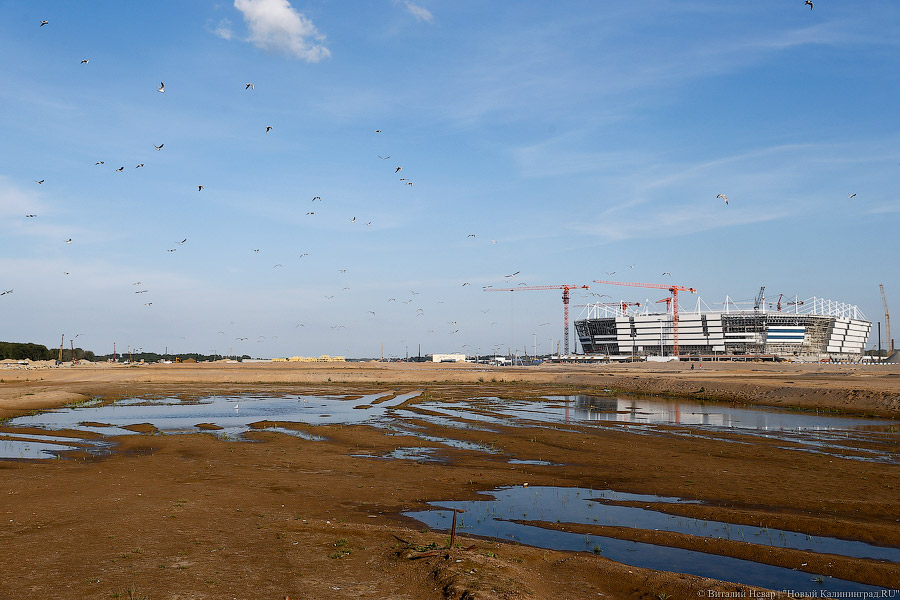 Власти региона намерены выяснить, почему подтапливает территорию стадиона к ЧМ-2018