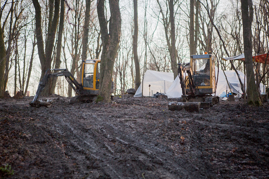 Кладбищенские истории: что происходит с лесопарком на Донского