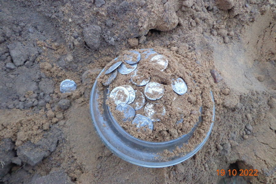 Калининградец откопал на своем участке клад римских монет. Находка вызвала сомнения экспертов