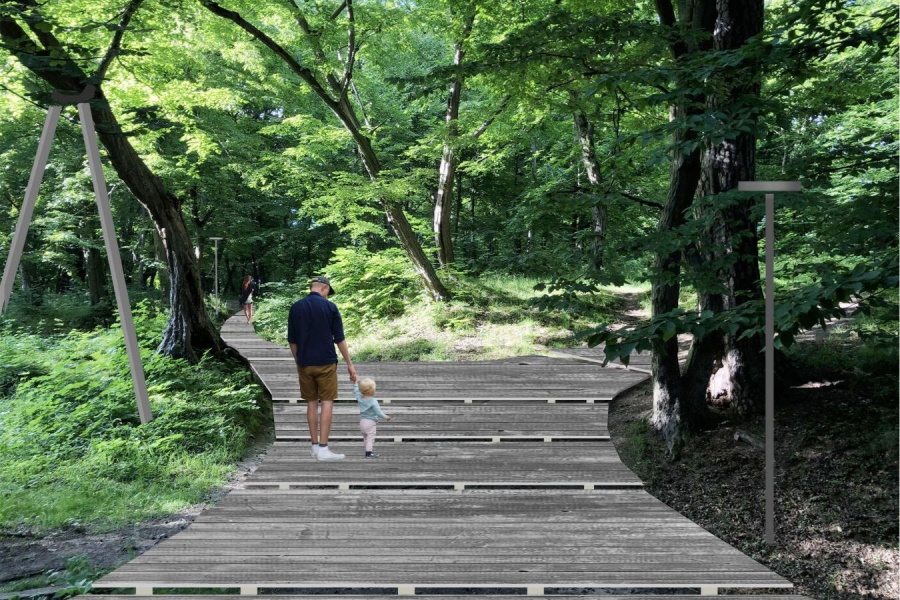 «Победитель не справился»: мэрия расторгла контракт по парку Теодора Кроне