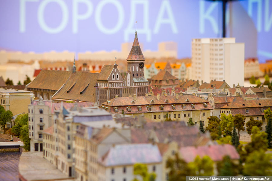 Настольный город: макет концепции застройки центра Калининграда (фото)