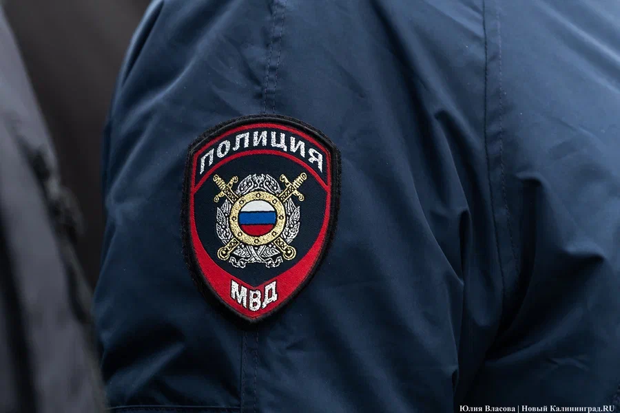 Полиция изъяла у жителя Калининграда 950 кустов конопли на двух плантациях (видео)