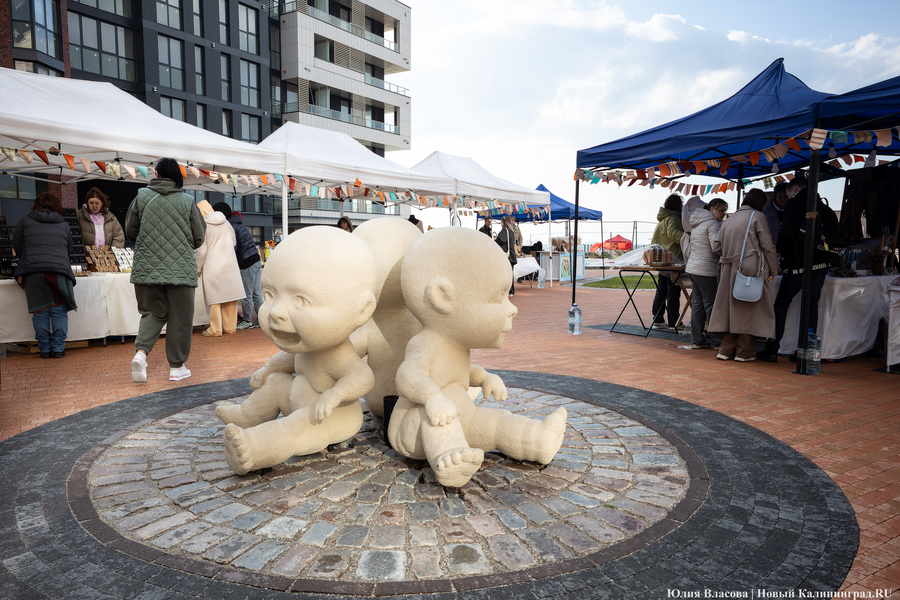 И рыба, и мясо: в Зеленоградске открылся гастрономический «Фиштиваль» (фото)