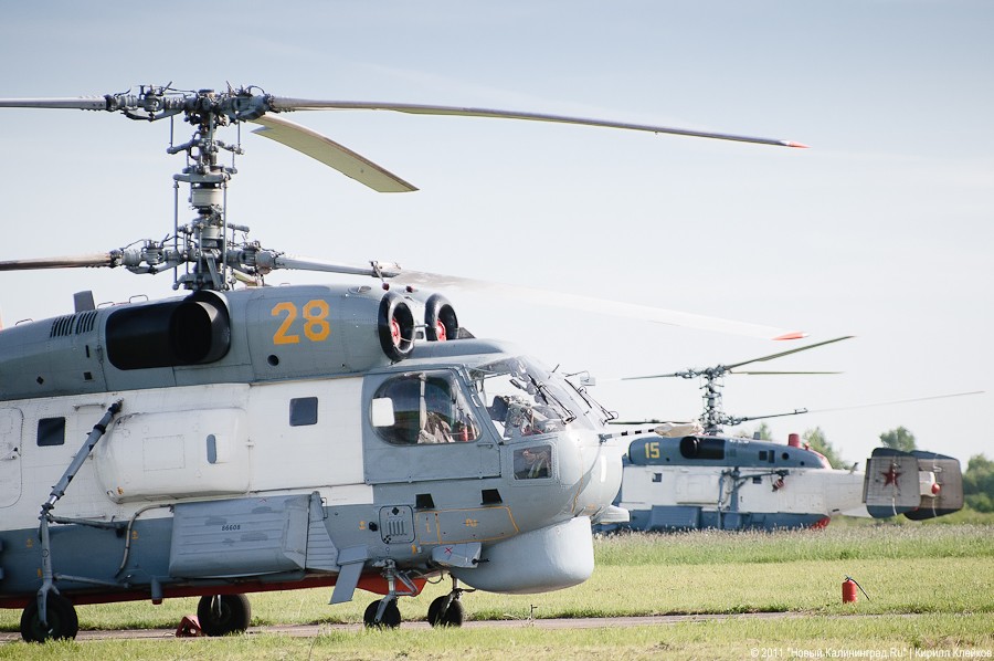 "Прилетит вдруг волшебник": фоторепортаж "Нового Калининграда.Ru"