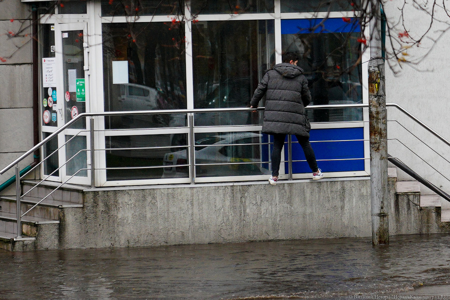 Другой берег улицы: Калининград затопило после шторма (да, опять)