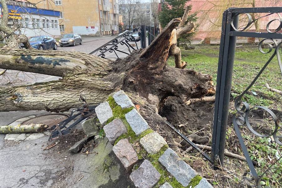 Калининград пляж шторм. Шторм в калининграде сейчас. Шторм в калининграде сегодня. Шторм в калининграде сейчас. Шторм в калининграде вчера.